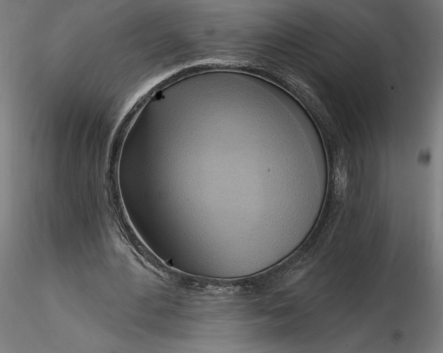 X0000116650484200912291619