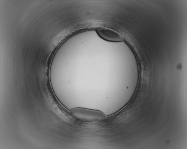 X0000116650485200912291619