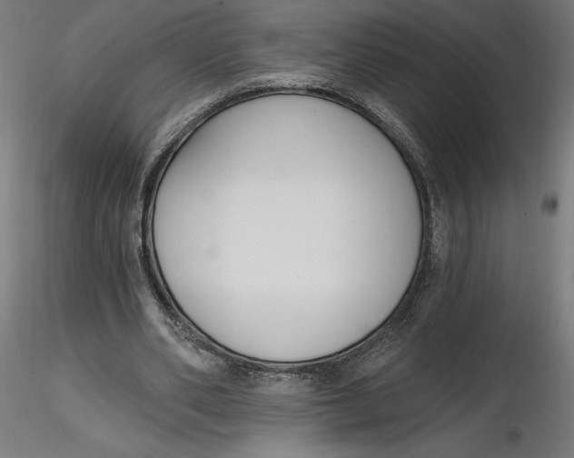 X0000116650486200912291619