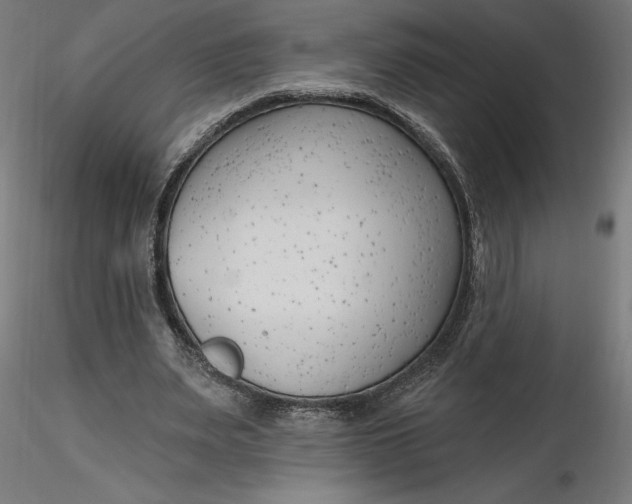 X0000116650487200912291619