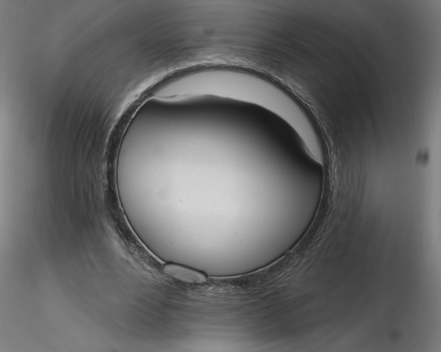 X0000116650488200912291619