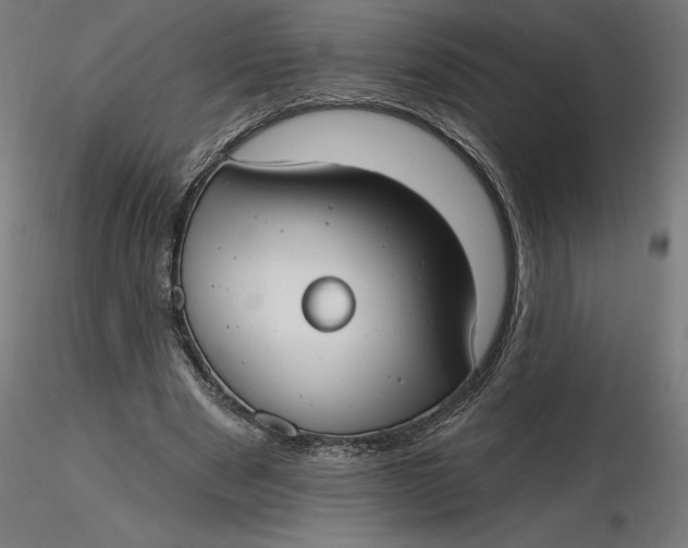 X0000116650489200912291619