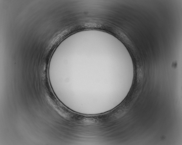 X0000116650490200912291619