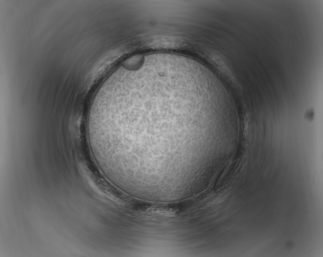 X0000116650491200912291619