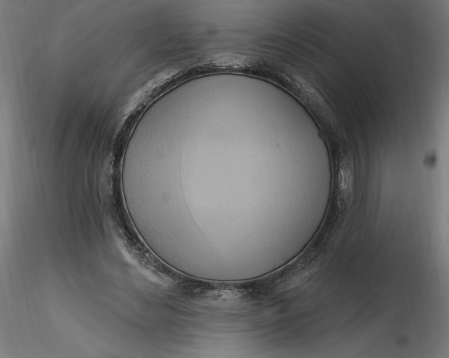 X0000116650492200912291619