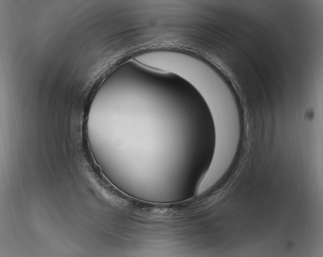 X0000116650493200912291619