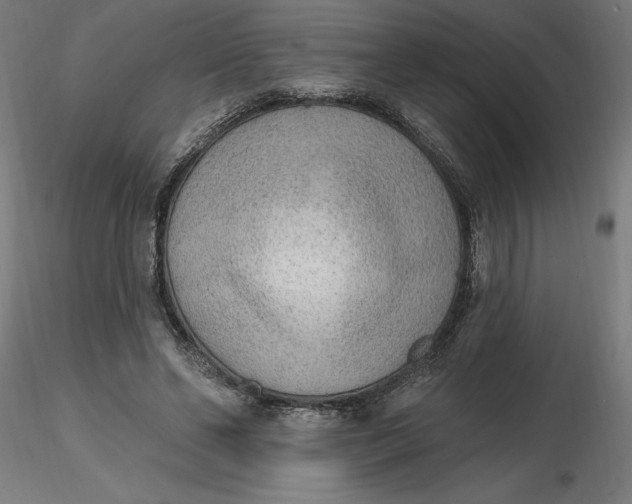 X0000116650494200912291619