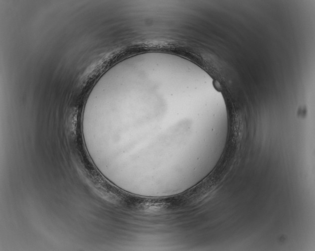 X0000116650495200912291619