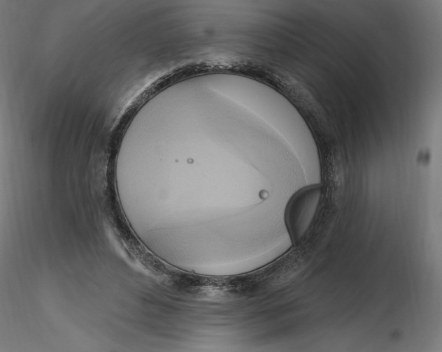 X0000116650496200912291619