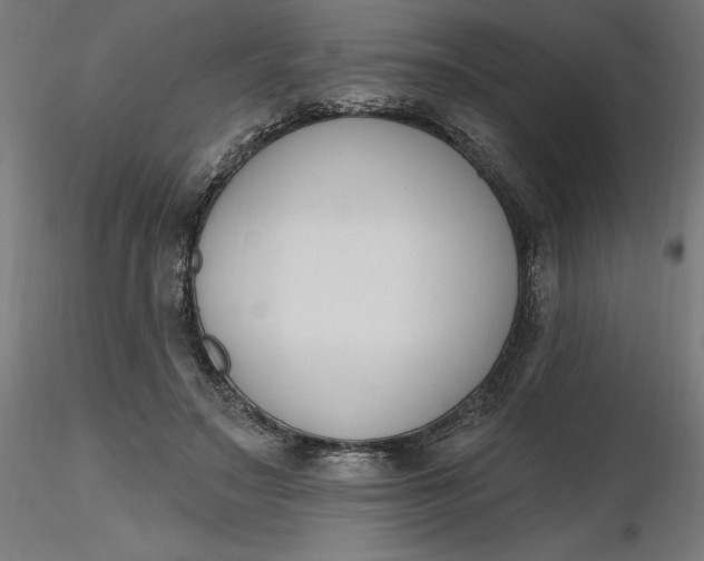 X0000116650499200912291619