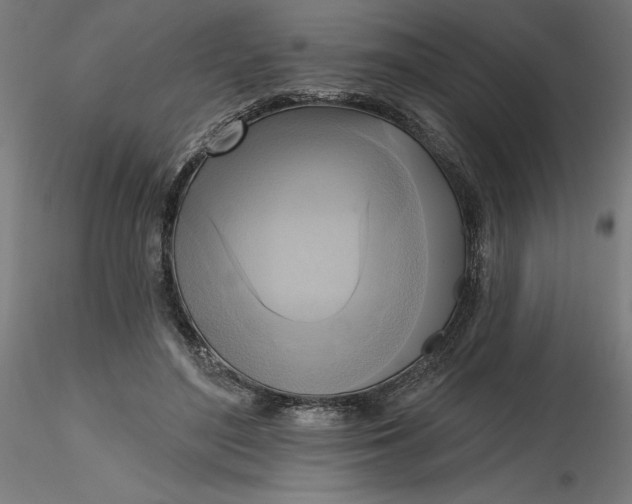 X0000116650500200912291619