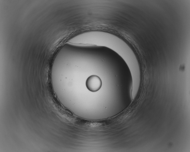 X0000116650501200912291619