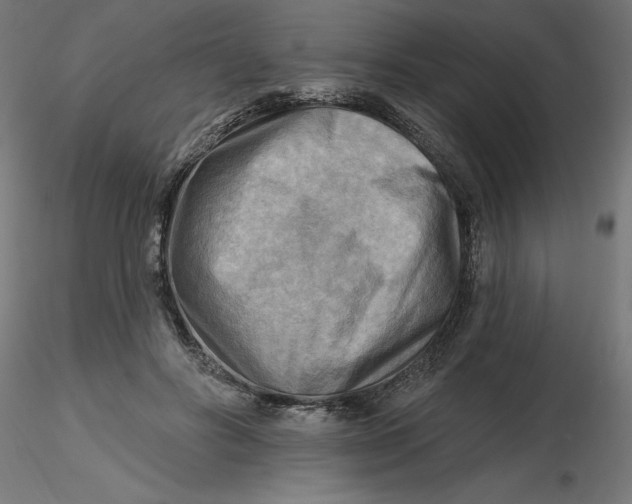 X0000116650502200912291619