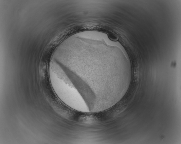 X0000116650503200912291619