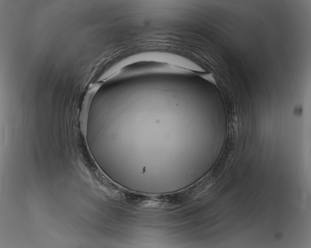 X0000116650504200912291619