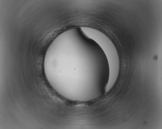 X0000116650505200912291619