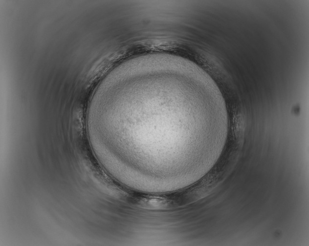 X0000116650506200912291619