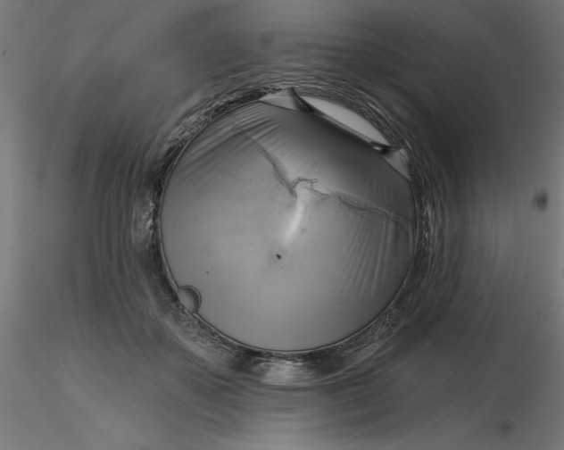 X0000116650507200912291619