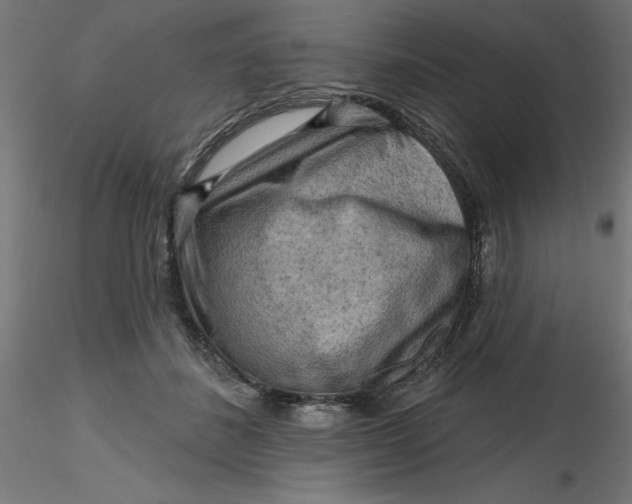 X0000116650508200912291619