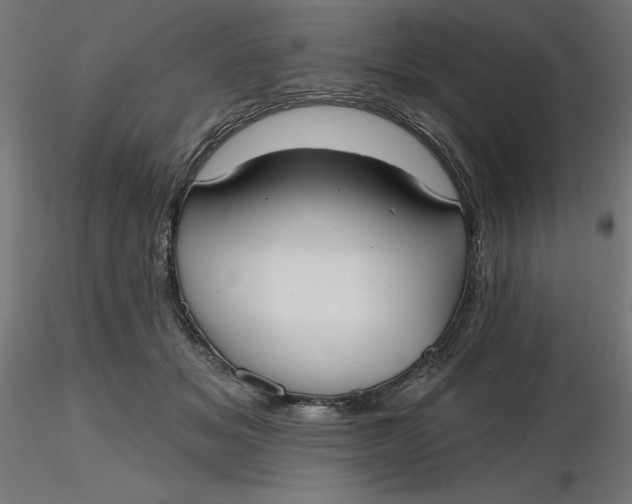 X0000116650509200912291619