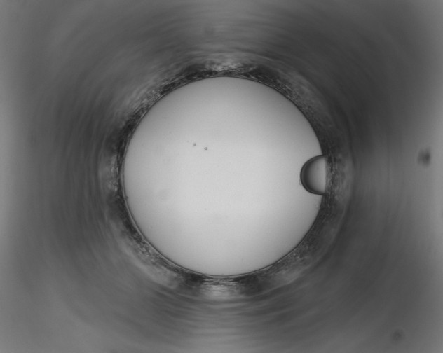 X0000116650510200912291619