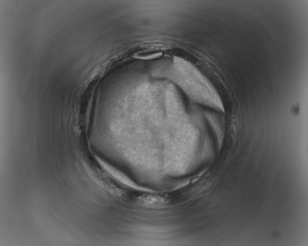 X0000116650512200912291619