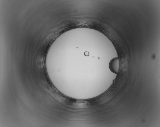 X0000116650514200912291619