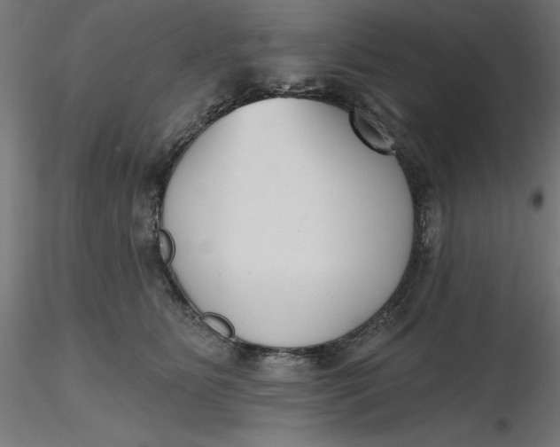 X0000116650515200912291619