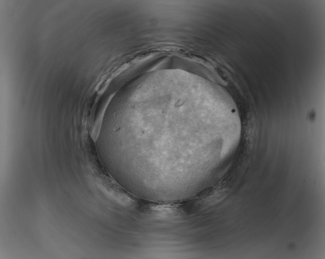 X0000116650516200912291619