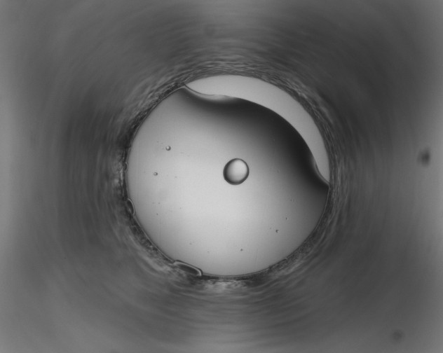 X0000116650517200912291619