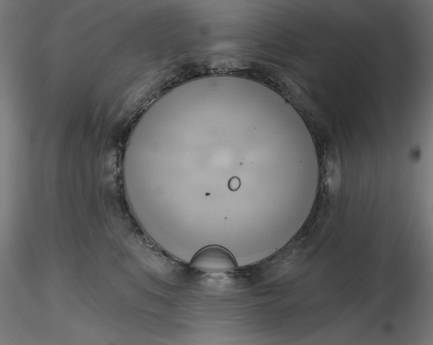 X0000116650519200912291619