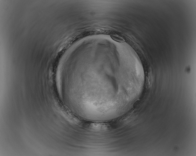 X0000116650520200912291619