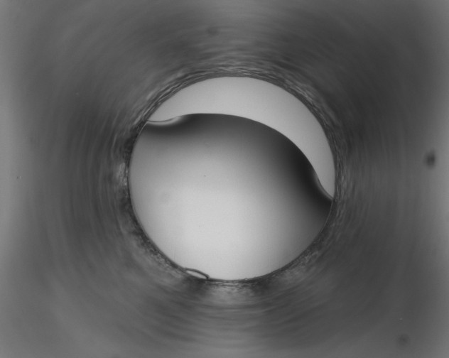 X0000116650521200912291619