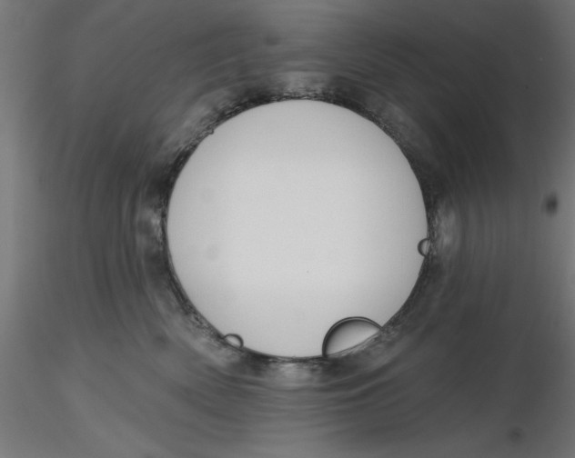 X0000116650522200912291619