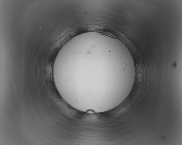 X0000116650523200912291619