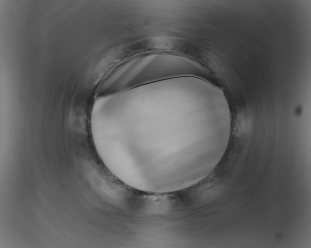 X0000116650524200912291619