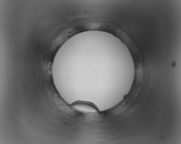 X0000116650525200912291619