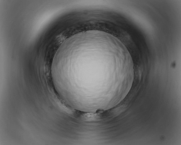 X0000116650526200912291619