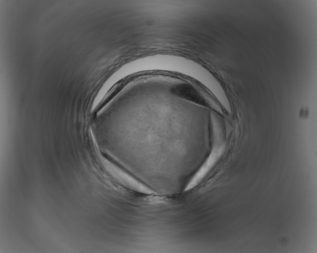 X0000116650528200912291619