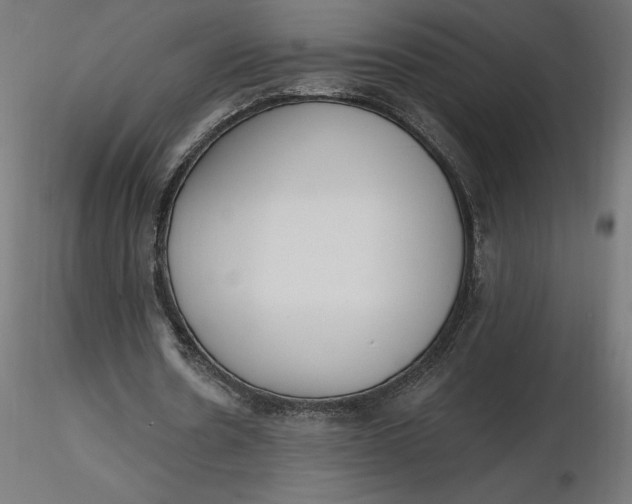 X0000116650530200912291618