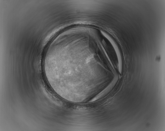 X0000116650531200912291618