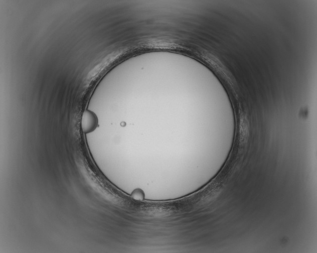 X0000116650533200912291618