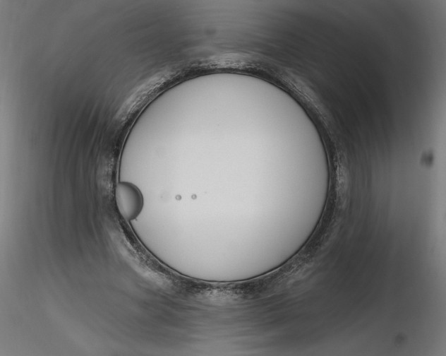 X0000116650537200912291618