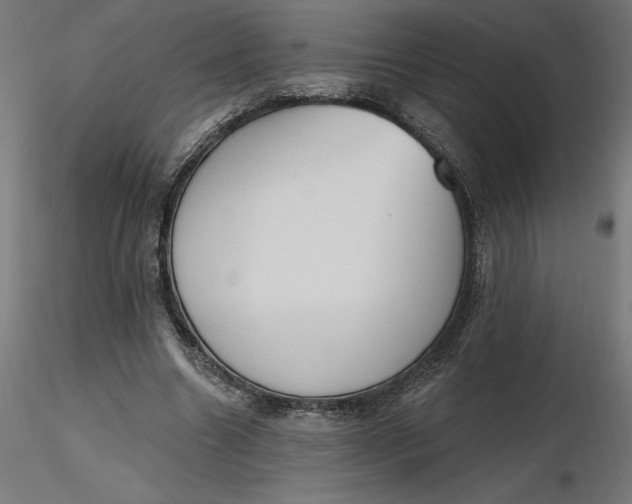 X0000116650538200912291618