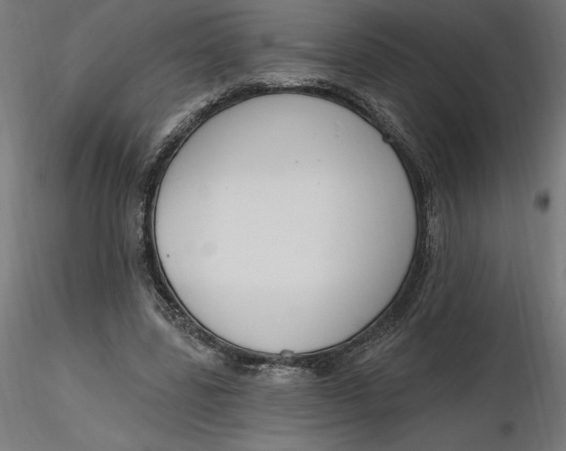 X0000116650539200912291618