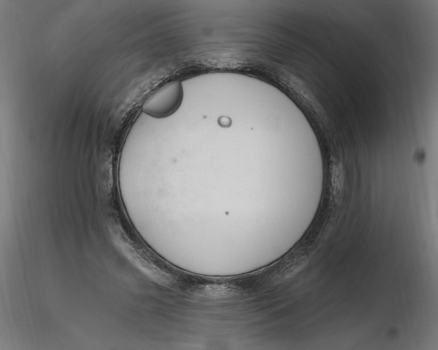 X0000116650541200912291618