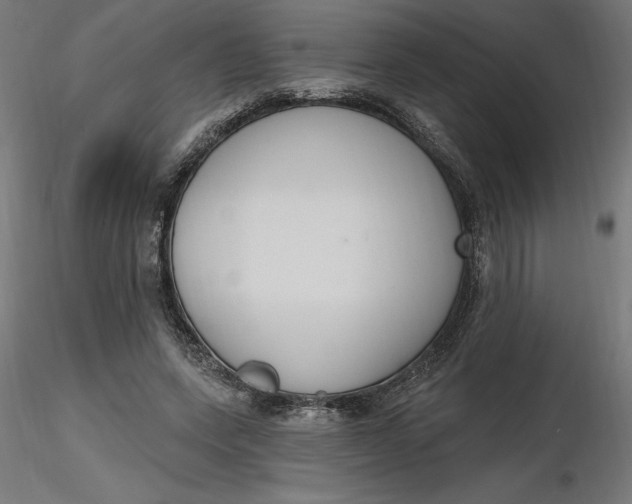 X0000116650543200912291618