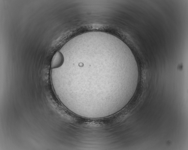 X0000116650545200912291618