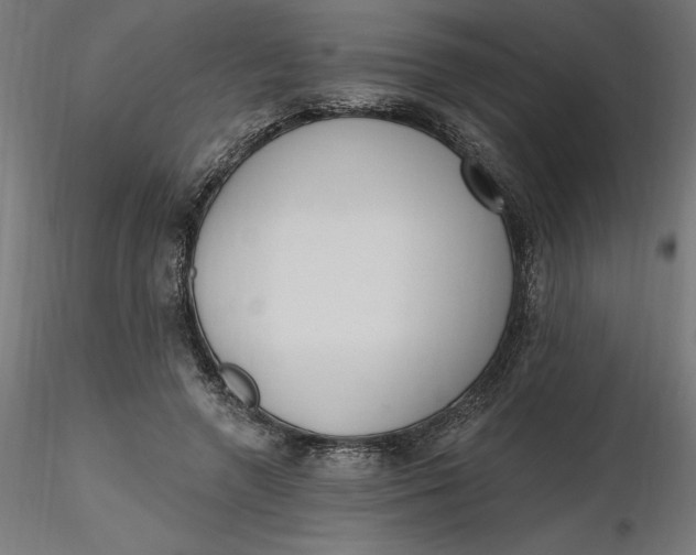 X0000116650546200912291618