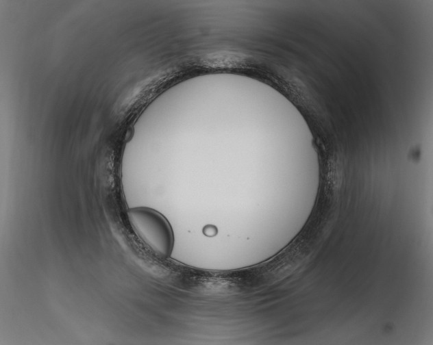 X0000116650547200912291618